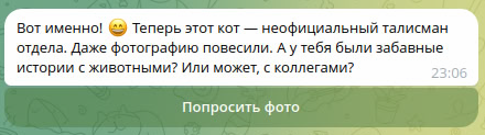 Кнопка «Попросить фото» в чате LushyAI
